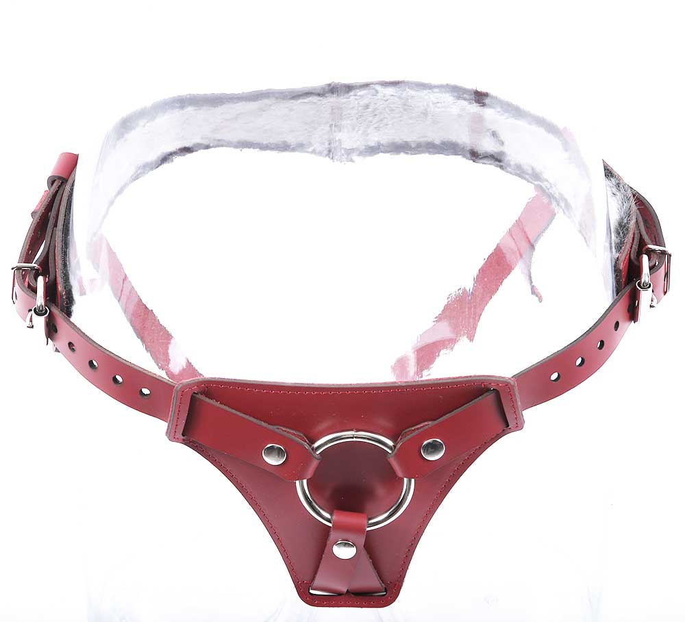 strap-on harness