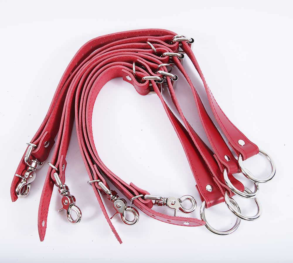 Bed Restraints
